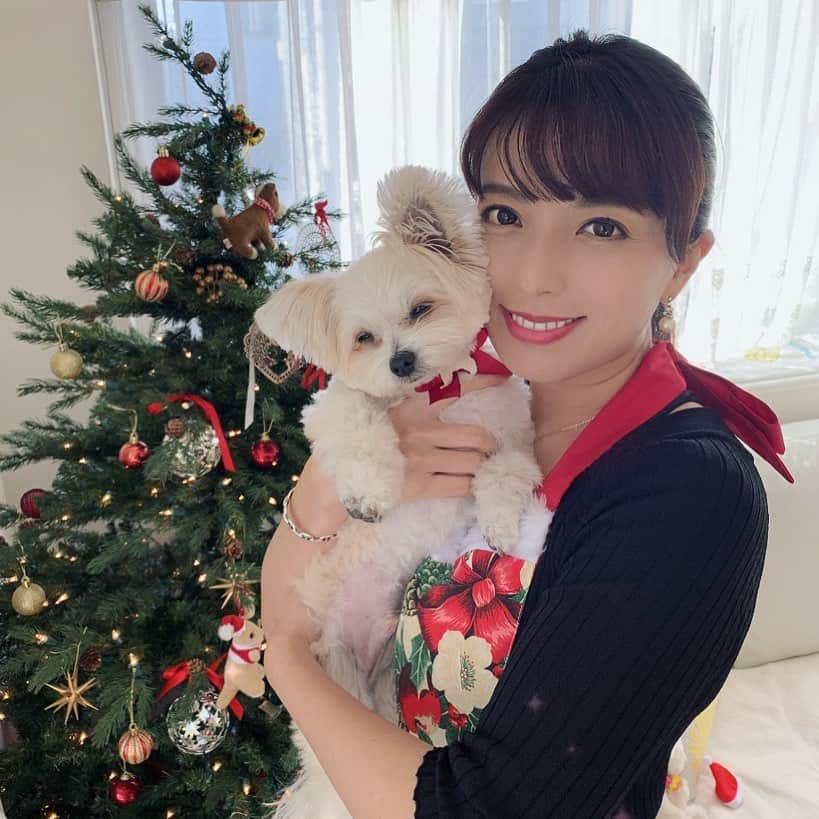 チャン・リーメイのインスタグラム：「宝物のクリスマスツリー🎄✨ ✴︎ 今年もいくつか飾りをいくつか増やしました。 ✴︎ 毎日眺めるたびに、 ✴︎ こうして日常を送ることができることに ✴︎ 感謝の気持ちでいっぱいです✨ ✴︎ #christmasseason  #クリスマスツリー #mytreasure」