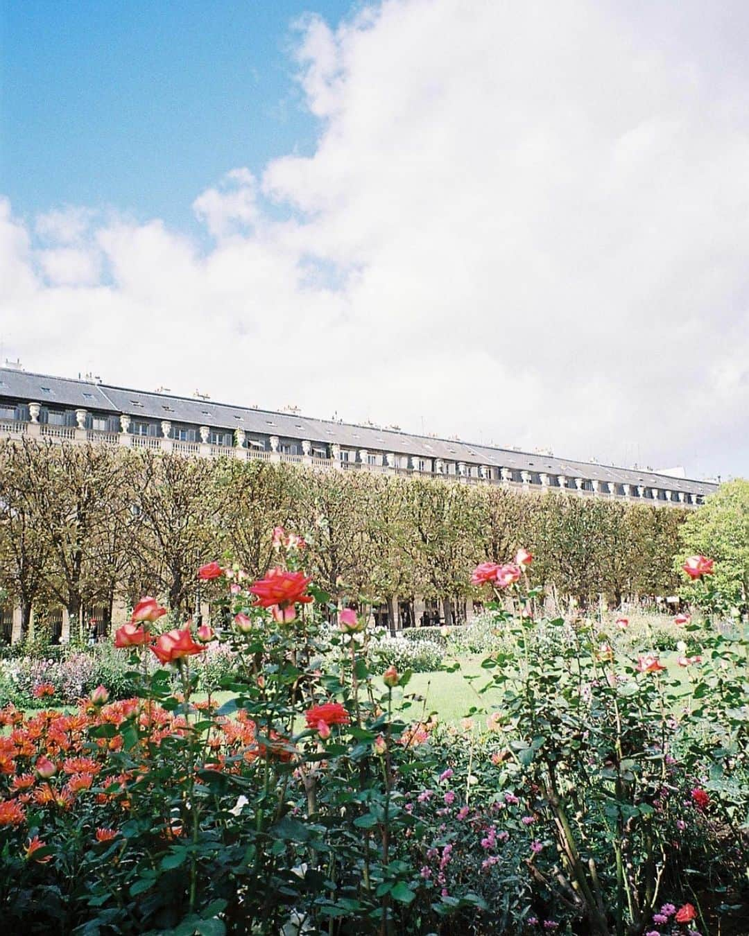 AMIさんのインスタグラム写真 - (AMIInstagram)「来年はどんな景色に出逢えるかな🍀🌿💐 自分の心が豊かであるように たくさん経験して 色んな感情に出逢えたらいいな 感謝の気持ちを持って ゆっくり自分の心を磨きながら 毎日を大切に丁寧に生きていけますように  #2020今年もあと少し」12月20日 23時29分 - amixxamiaya