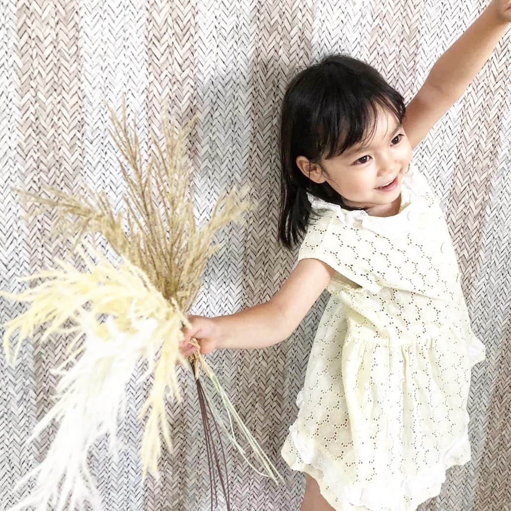 のインスタグラム：「ひさびさ新顔さん投入 その6💕 『ふわふわシュッシュ』さん。 見たまんま命名してみました。 この子。 超優秀な子。  #フェイクグリーン #インテリアグリーン #fakegreen #interiorgreen #zakka #造花 #アーティフィシャルフラワー #artificialflower #4歳」