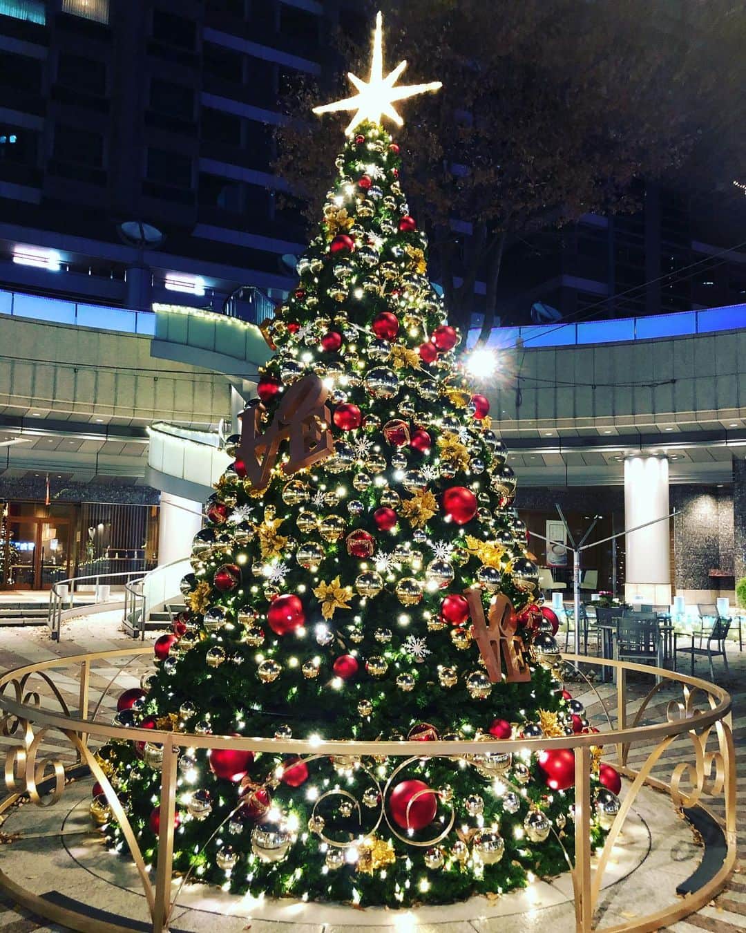 永野沙耶のインスタグラム：「大きなツリーを発見🎄 来週はクリスマスかぁ。 早いですなぁ。 着物を初めてから季節を今まで以上に大切に感じるようになったなぁ☺🍀」