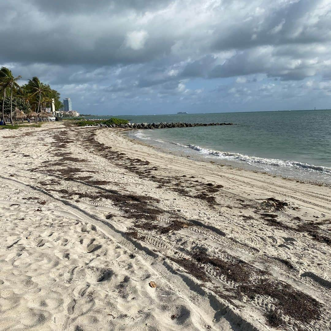 レイ・アレンさんのインスタグラム写真 - (レイ・アレンInstagram)「Went out for a solo ride this morning and caught a few miles with @team_barber_miami #keybiscayne #billbaggs #virginiakey @pinarello_us #landsend」12月21日 0時46分 - trayfour