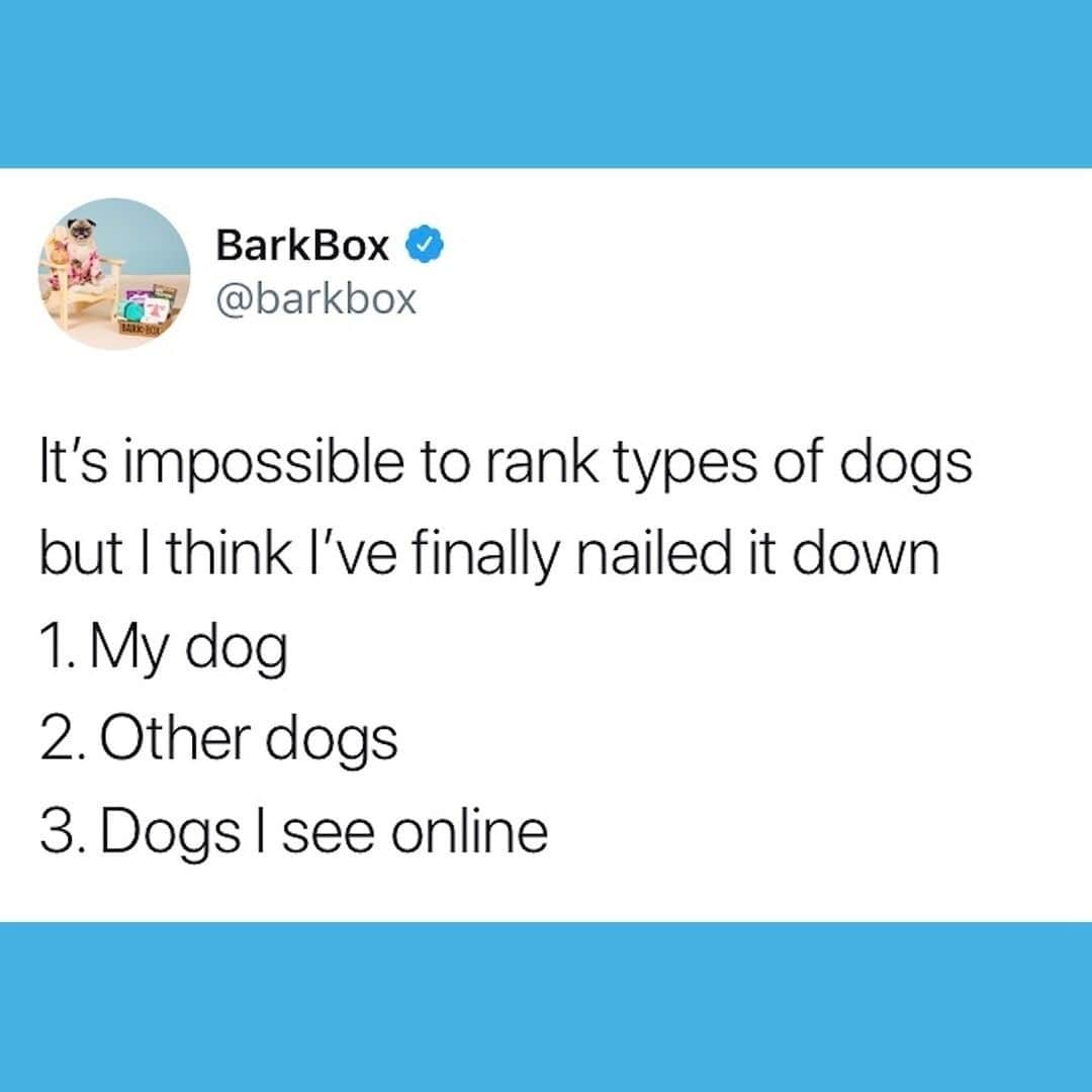 BarkBoxのインスタグラム：「THOUGHTS? 🧐」