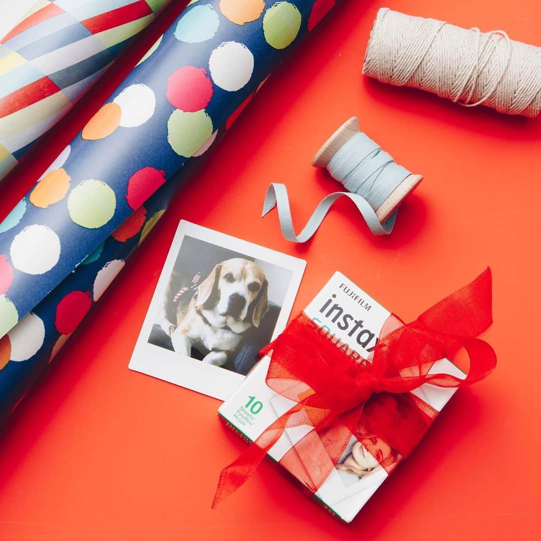 Fujifilm Instax North Americaさんのインスタグラム写真 - (Fujifilm Instax North AmericaInstagram)「Enlisting the help of our furry friends to help get through this gifting season 🐶🎁 ⁠⠀ .⁠⠀ .⁠⠀ .⁠⠀ #dontjusttakegive⁠⠀ #wrappingpresents⁠⠀ #dogsofinstagram」12月21日 1時56分 - fujifilm_instax_northamerica