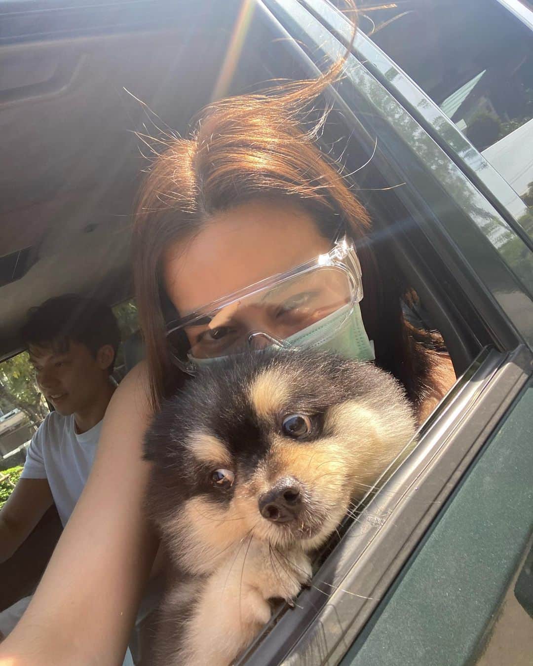 キンバリー・アン・ウォーテマス・ティアムシリのインスタグラム：「Paws out 🐾 #Hammerthepom #Hectorthechihuahua #Happyisveryhappy」
