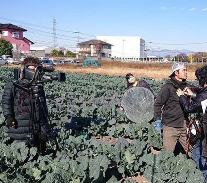 能登瑶子さんのインスタグラム写真 - (能登瑶子Instagram)「本日のJAみどりの風は夜10時〜！(^^) ブロッコリーとケールを掛け合わせた野菜「アレッタ」を広めようと頑張る生産者と一緒に今回はPRドラマを作りました✨ いつもはリポーターの私も、今回はカメラアシスタントとして出演する生産者の皆さんのお手伝いをしました( ^ω^ ) ぜひご覧ください(o^^o)  #JA#みどりの風#佐波伊勢崎#アレッタ#PR#ドラマ#出演#全て#生産者#初めての#カメラ#アシスタント#難しい#いつも#ありがとう#ございます#群馬テレビ#群テレ#gtv#アナウンサー」12月21日 12時12分 - noto.1281