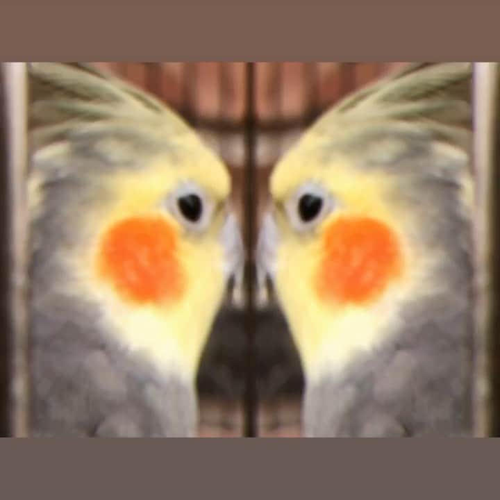 柳英里紗のグルメインスタ