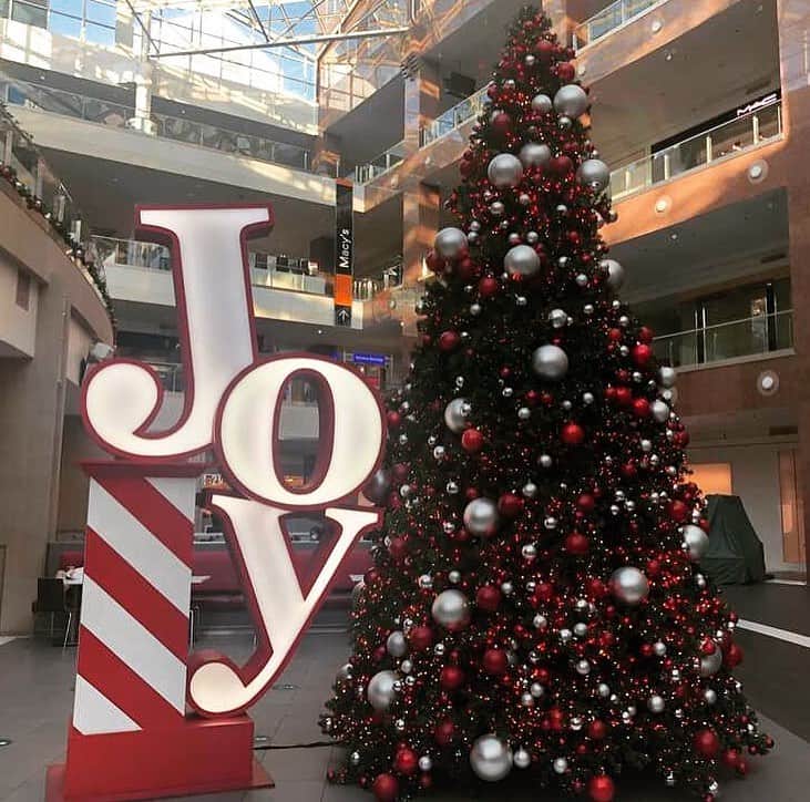 のインスタグラム：「こちらのペンタゴンシティモール(Pentagon City Mall)に飾られたクリスマスツリー🎄 いつも🇺🇸でゃこの時期のショッピングモールは、ホリデーショッピングのお客さんで大混雑‼️のはずなのですが... 新型コロナウイルス🦠感染症の拡大でお店は半分以上が閉まっているそうですが、ホリデースピリッツの🎄飾られていますね！ . #usa #america #studyabroad #livinginamerica #holdayseason #covid19 #socialdistance #joy #shoppingmall #washingtondc #christmastree #holidaydisplay #アメリカ #アメリカ生活 #留学 #新型コロナ #ソーシャルディスタンス #ショッピングモール #デパート #クリスマスツリー #ホリデーシーズン #virginia #arlington #バージニア州」