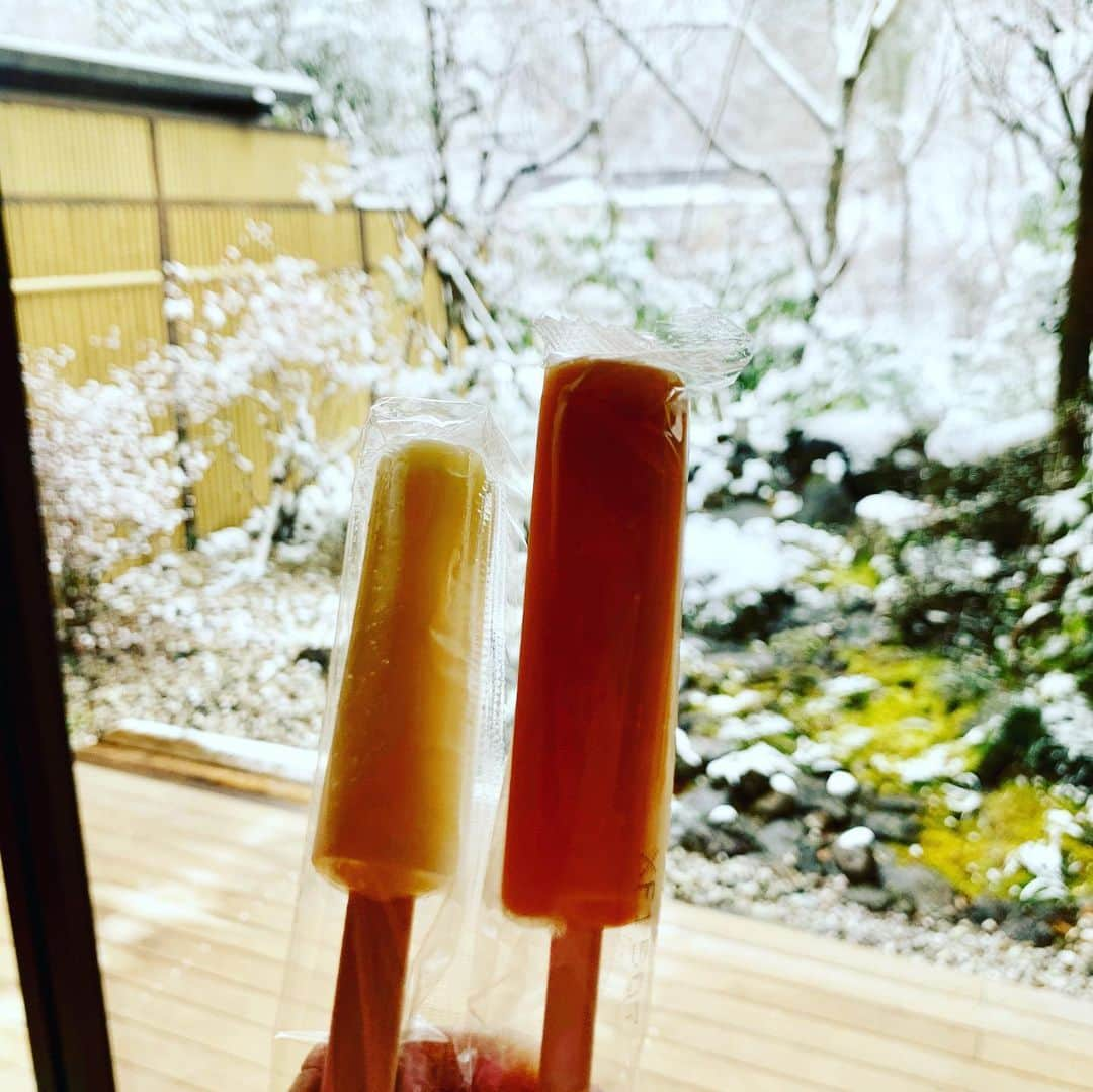 大桃美代子さんのインスタグラム写真 - (大桃美代子Instagram)「奥日光へ。  雪が降り積って、銀世界。  雪見風呂に、雪見ビール🍺。  里山の宴は、地元の大豆が入った、  お豆を感じるビール。  パッケージはスタッフさんが作ったと言う、  地元とのコラボ作品。  お部屋には、炬燵があり、  まったりと過ごせます。  雪景色が眼福の季節は、  奥日光がいい！  落ち着いたらまた行きたい宿です。  #奥日光#栃木好き#日光#温泉#界川治#川治温泉#里人の宴#温泉好き#日本旅館#星野リゾート#界 @trevary_hotels #luxuryhotel #genic_japan #genic #funtotrip #温泉好きな人と繋がりたい #おんせん♨️ #japanspring」12月21日 6時32分 - miyoko_omomo