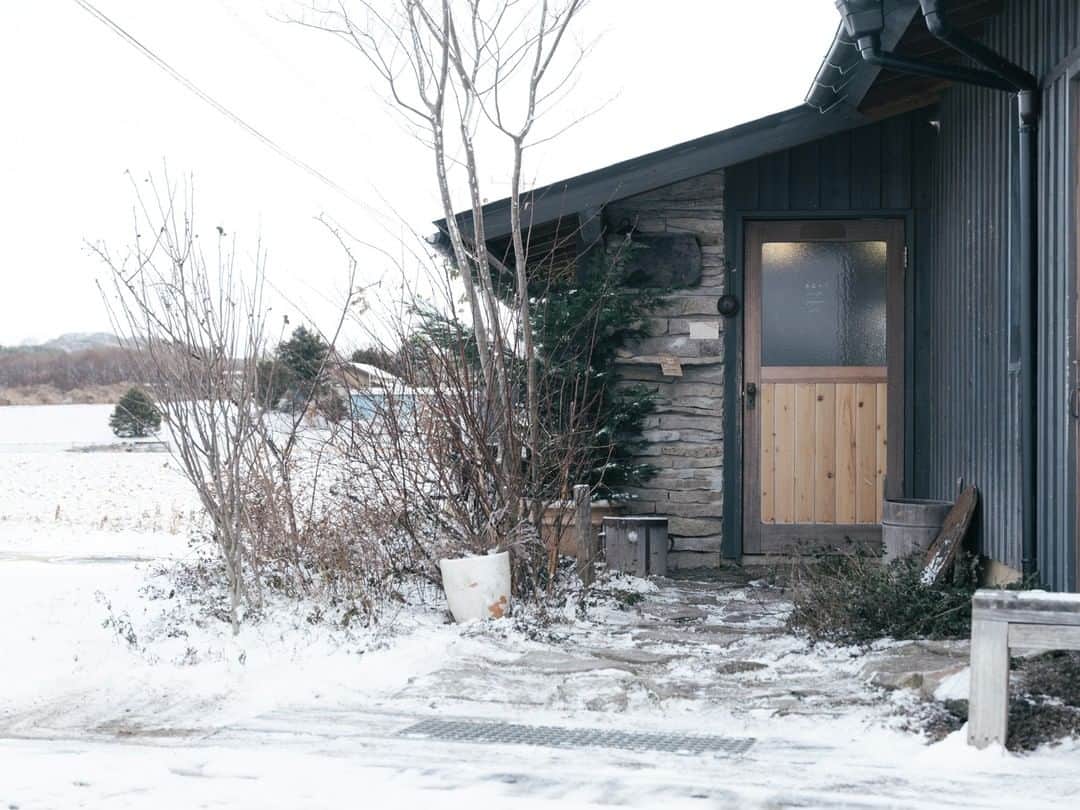 ヒラハルのグルメインスタ