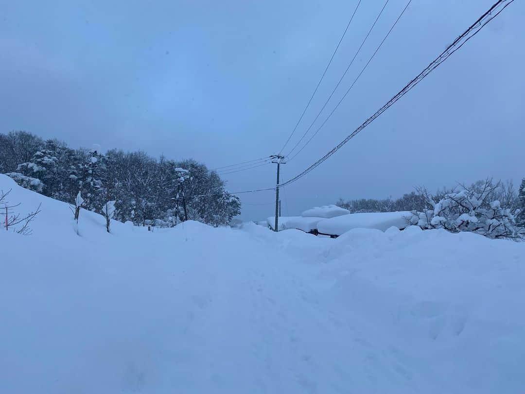 長澤青空さんのインスタグラム写真 - (長澤青空Instagram)「今年初登山🏔 #部員募集中 #これで新歓登山は優しくない #このレベルの雪久々なのに山はおかしい #ど素人 #ランシューで雪山は凍傷覚悟 #癖癖癖 #腰より深いのに後輩に押された時死んだと思った #お前まだ会うの3回目だからな？ #でもめっちゃ楽しかった #ちなみに綺麗とかではない #パウダーすぎて前も後ろも見えん #泉ヶ岳 #一応山岳部 #お前キムチ鍋知らねえだろ #パワーワードは今降ったね #運転核心」12月21日 7時53分 - foifoi3