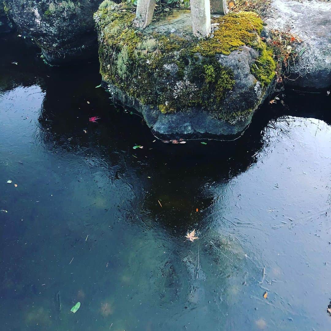 町田康のインスタグラム：「池、凍っとるがな。仕事、休もかなあ。」
