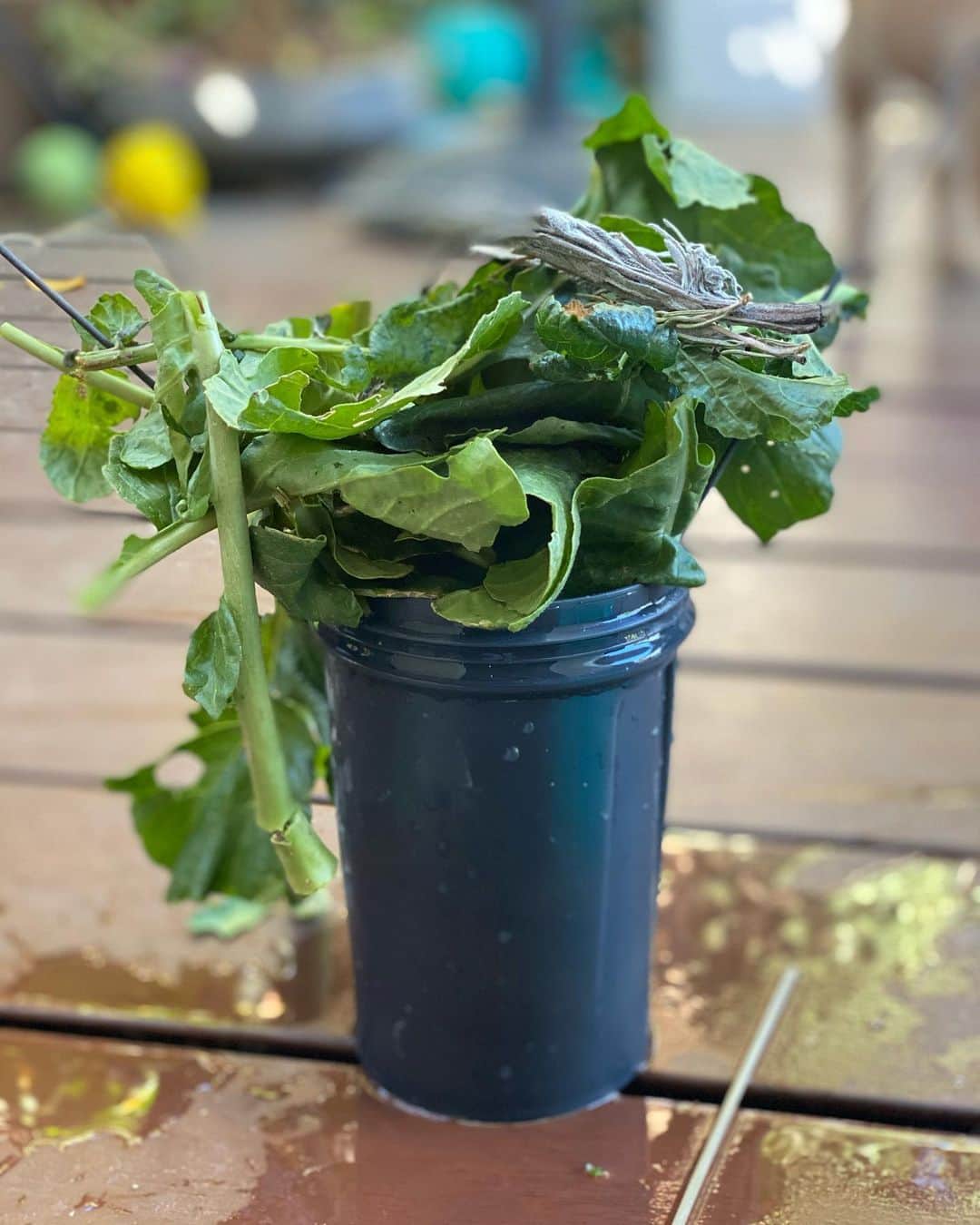 レイチェル・レフィブレのインスタグラム：「Gave our son a bunch of kitchen stuff to make “potions” and today I included scraps meant for the compost. He made this “salad.” I’m constantly blown away by the beauty in the toddler mess.」