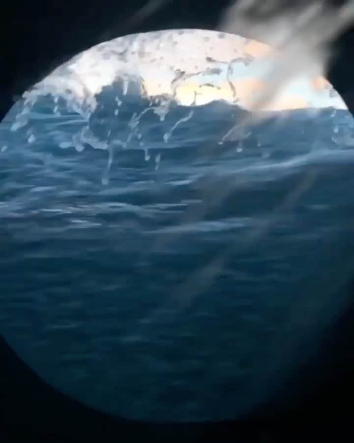 WildLifeのインスタグラム：「Make sure to follow @jalilnajafov for more awesome ocean and shark content 🦈 - A window to the ocean 🌊  🎥 : @jalilnajafov」
