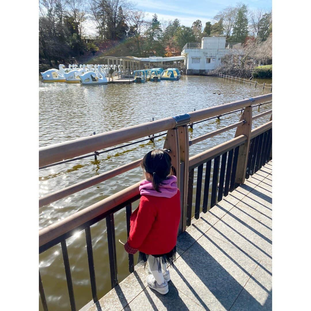 堀友理子のインスタグラム：「久しぶりの井の頭公園✨ 寒過ぎたけど、木々が綺麗で空気が澄んでて気持ち良かった☺️ スワンボートに乗ったのいつぶりだろう🚤 帰りはパンケーキ屋さんに寄りました😄 昔、開店したばかりの時にここまで来て、長蛇の列を並んだなぁ！  #井の頭公園  #吉祥寺 #スワンボート #井の頭自然文化園  #パンケーキ #ダッチベイビー  #オリジナルパンケーキハウス #2歳女の子」