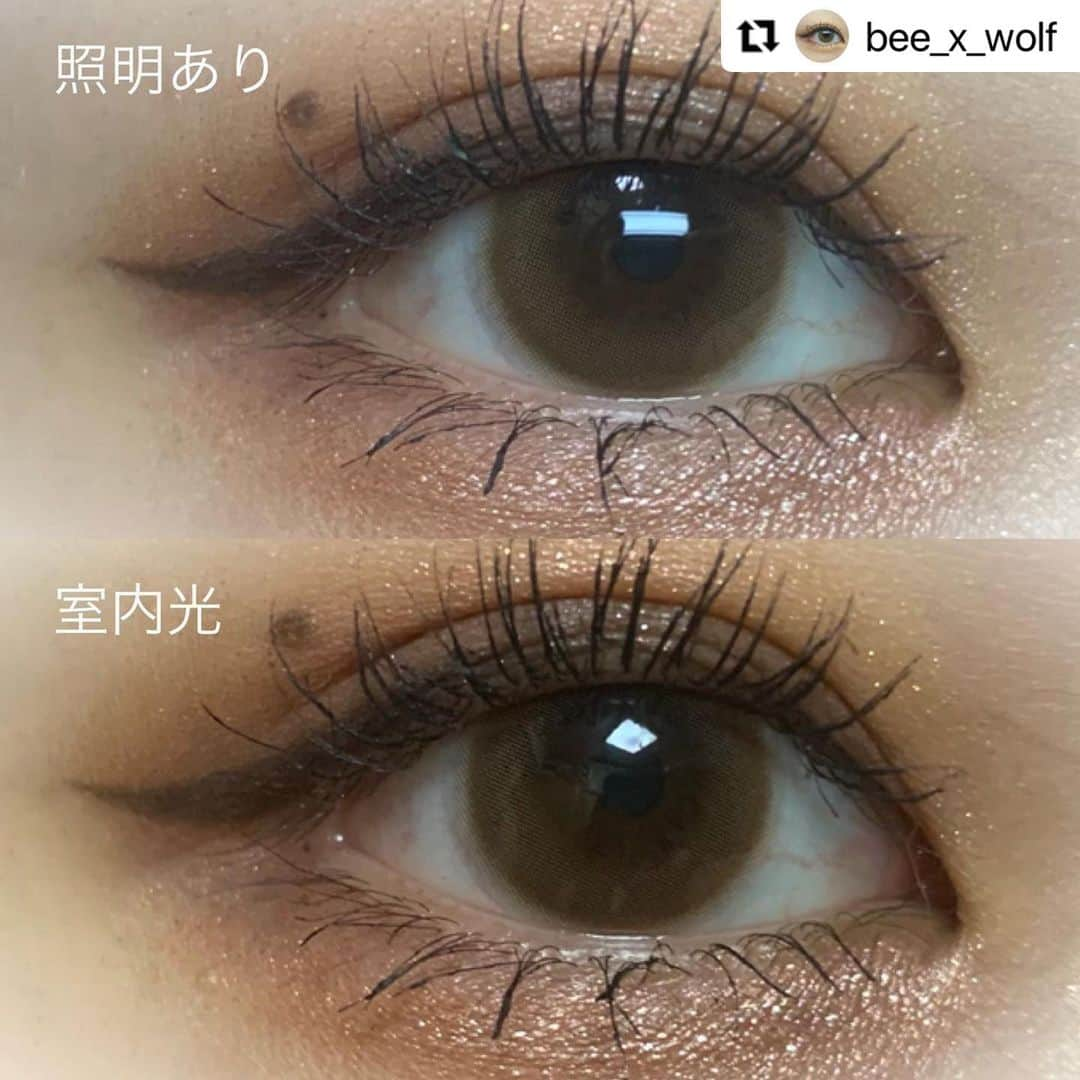 モテビューティー公式さんのインスタグラム写真 - (モテビューティー公式Instagram)「#Repost @bee_x_wolf with @make_repost ・・・ ･ 今回はモテコン(@motecon_official )さんの超モテコンウルトラマンスリーのうるうるパールを試させていただきました！  小粒目で普段は小さいカラコンを使っているので少し大きく感じましたが、透け感があるので慣れてくると体感では着色直径が13.4ミリほどに感じました！  乾燥やズレなども感じ図着け心地もよかったです〜 名前の通りのうるうる目にしてくれるので、ナチュラルに盛りたい方にオススメです👍  🐝 使用コスメ 🐺 #EXCEL アイプランナー S 01 ピュアブロンズ #NARS デュオアイシャドー 3915 クアラルンプール #CLIO プリズムエアシャドウ 04 ピンクフィクション #LUNASOL アイカラーレーション EX08 ヴィンテージローズ  #NARS プロヴォカチュアアイシャドーパレット  #APIEU ボーントゥービーマッドプルーフマスカラ Lv.3 ブラック #ettusais アイエディション(マスカラベース)  #エクセル #アイプランナー #ヴィンテージローズ #アイカラーレーションex08 #デュオアイシャドー  #カラコン着画 #コスメ購入品 #コスメレポ  #アイメイク動画  メイク動画 #ルルコスオフィシャルメンバー  #今日のメイク  #超モテコン #モテコン #超Motecon #Motecon #モテコンしか勝たん #カラコンプラス #カラプラ #カラコン #超十代 #なえなの #ドンキ #ドンキホーテ」12月21日 9時34分 - motecon_official