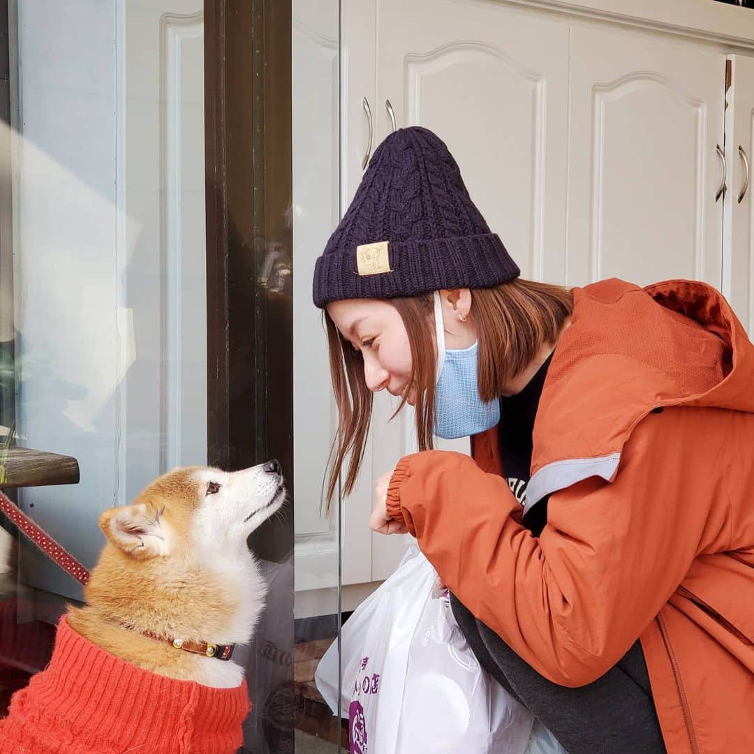 のインスタグラム：「断食の宿の看板犬さん🐕️ カラダリセットしたくなったら行こう #伊豆高原  #柴犬 #とにかくかわいい」