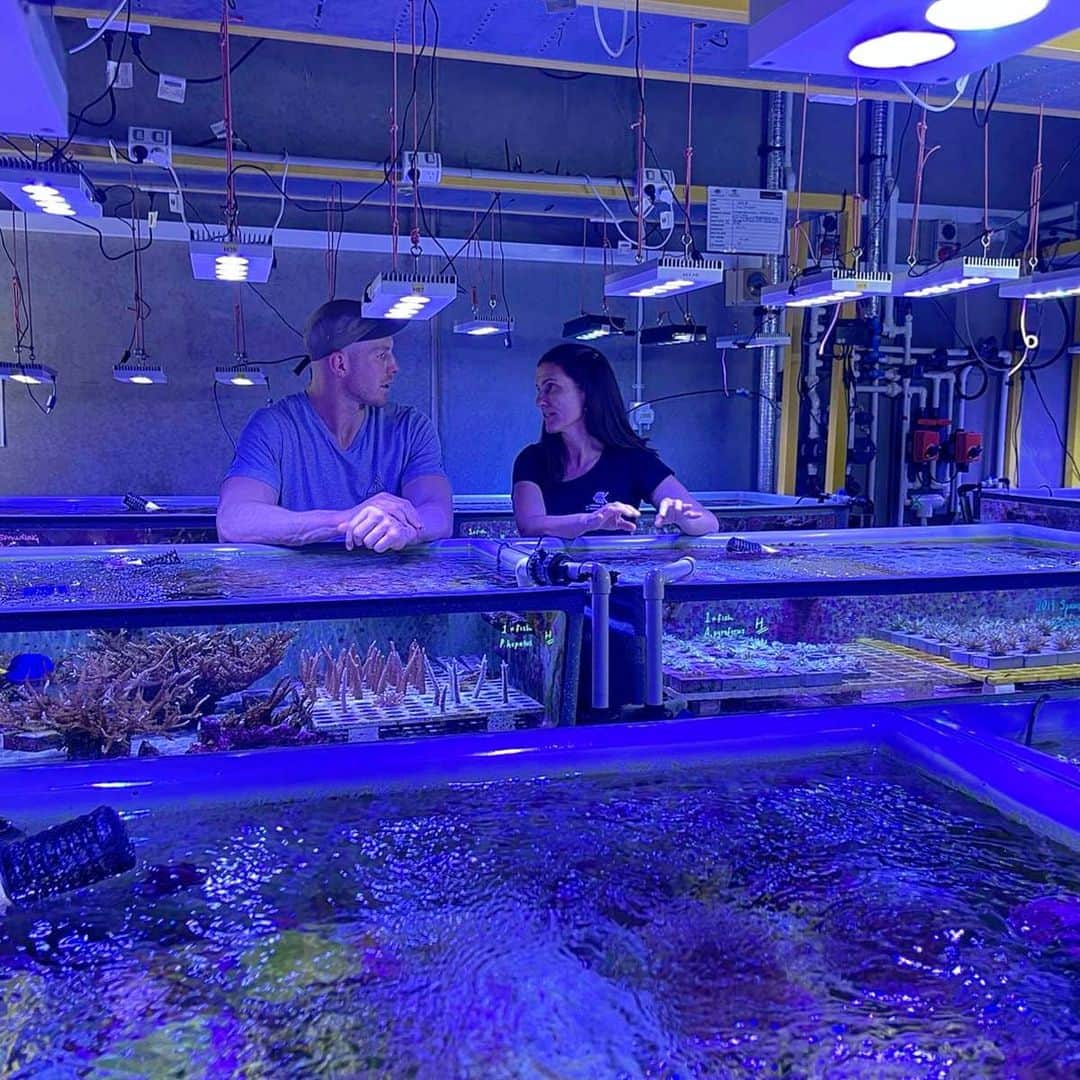 デビッド・ポーコックのインスタグラム：「Really enjoyed catching up with Dr Nicole Webster to learn more about the Great Barrier Reef. Also got to spend a day on the reef - an overloading of the senses and overwhelming sense of awe and wonder. Truly incredible. The amount of biodiversity on one small section of healthy reef is astounding.  Sobering to learn more about the threats to the reef. If we don't act boldly on climate change and implore the international community to do the same there will be on reef left. Coral bleaching is happening more often than the reefs can recover from. In Australia we're almost at 1 degree of warming and 90% of the reef has experienced some bleaching. 1.5 degrees means we can retain some of the reef but 2 degrees gives it little hope.  And our trajectory due to lack of action has us heading for over 3 degrees - catastrophic for everyone. We need all of us to be demanding bold leadership from @scottmorrisonmp @albomp at a time where they are increasing subsidies for fossil fuels and investing in the fossil gas industry.  Check out @theclimatecouncil @beyond_zero_emissions for more info and solutions.」