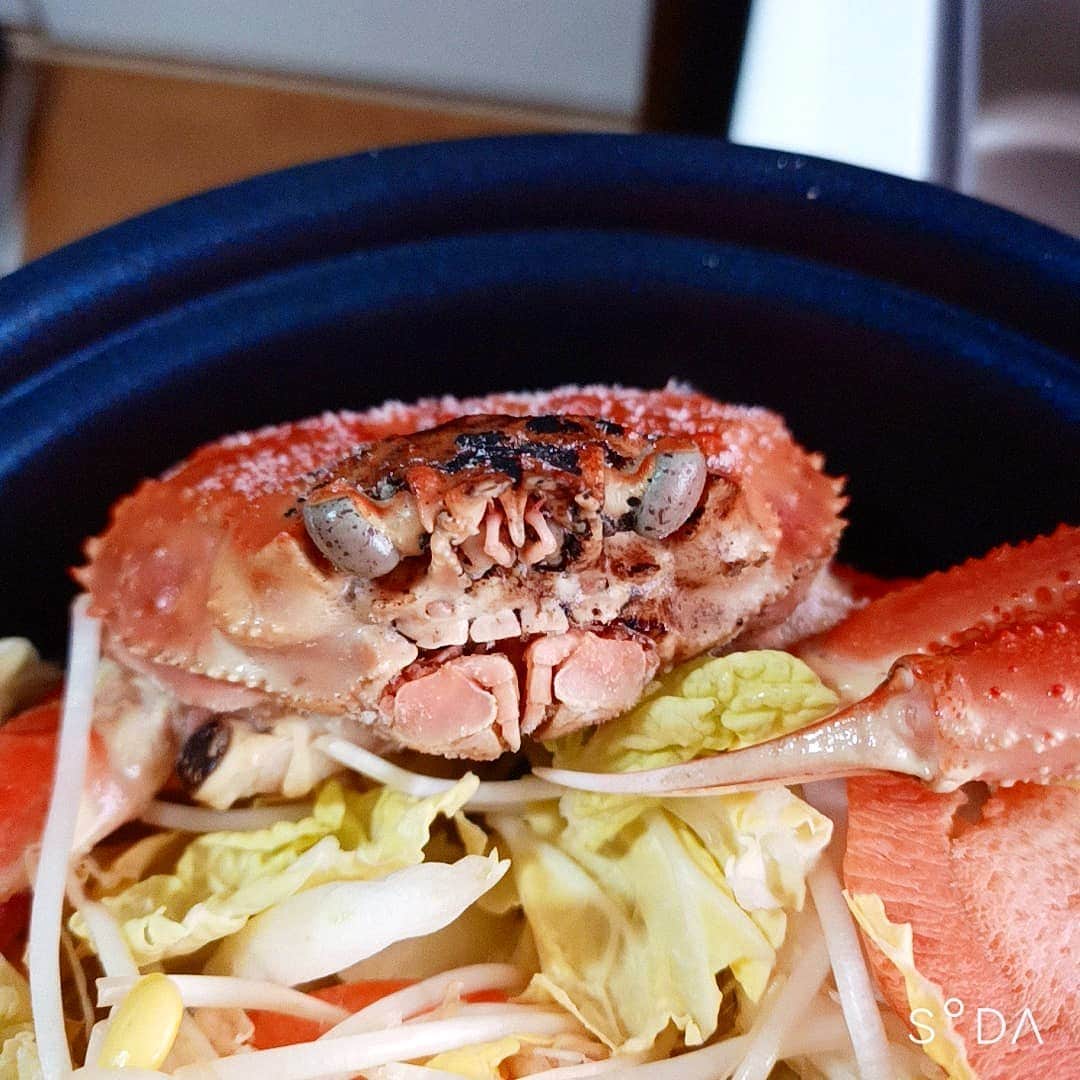 松本隆博のインスタグラム：「。 カニカニ雑炊物語(˙◁˙) いやぁ美味かったです！ ほんと心から温まりました。 植田会長ありがとう😊 …そろそろ復活します！！ 横バイだけど(^O^)。  ～人生遊歩道～」