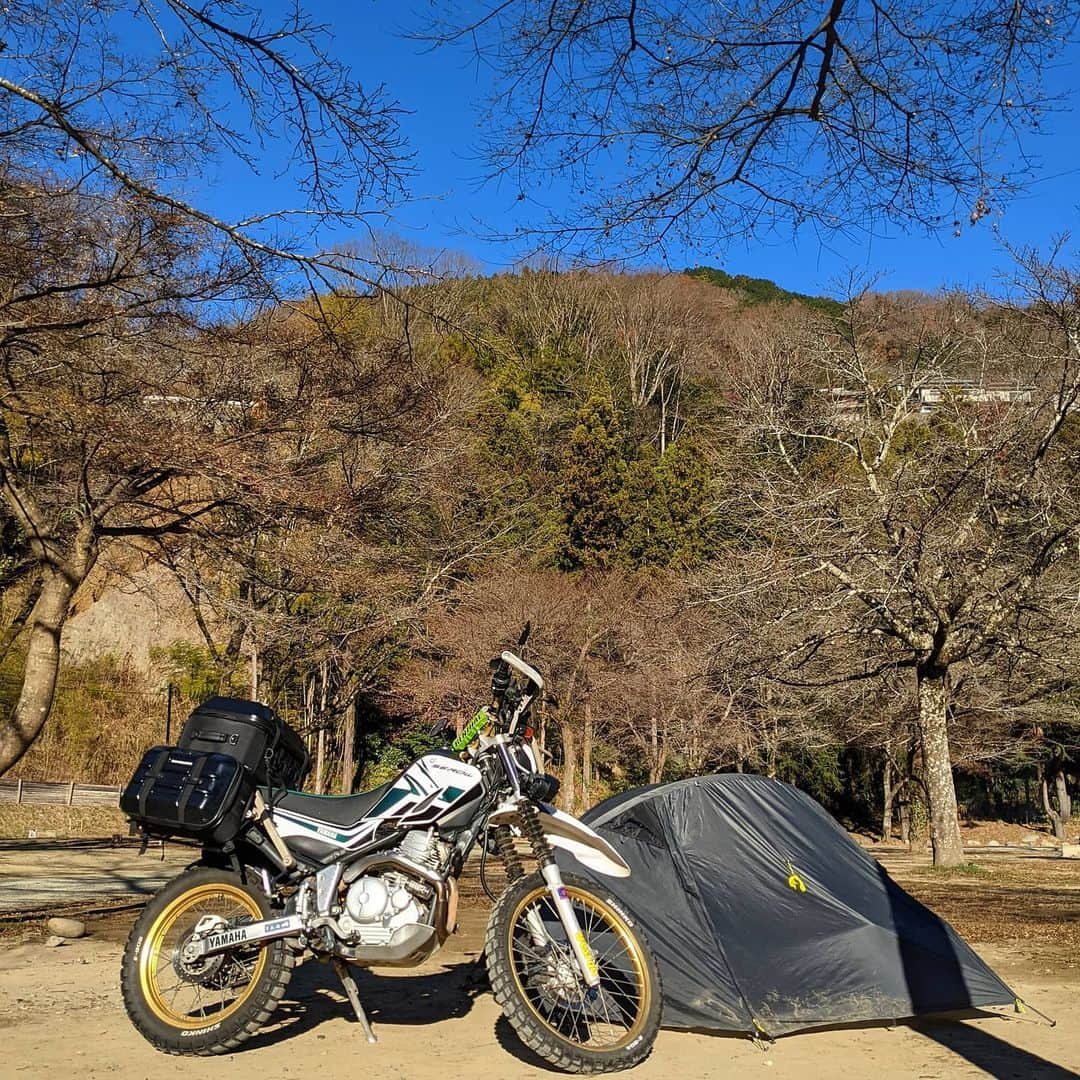 山下晃和さんのインスタグラム写真 - (山下晃和Instagram)「【MOTO&CAMP】19歳のときからキャンプをしているので、にわかではないです  すなわち、 21年間キャンプツーリングを愛し続けていることになりますが、その変遷を受け止めることが旅の目的でもありました  まずは、キャンプのお客様がここ数年でどこも多いということ。（平日なのに！）そして、みんなスタイルがあってそれぞれカッコ良くて、それぞれファッショナブル、そして多様化を感じます 昔は正直皆いなたいスタイルでした  ギアの進化もまたしかり  テント→軽量化、コンパクト化も（ニンジャテント）@paagoworks.official   焚き火台→著しい軽量化（男前ファイアグリル）@basecamp_a_suke   ツーリングマップル→スマホ（タナックスデジマウントケースAC-M）@tanaxofficial   寝袋→防水化（シームレスドライダウンハガー900）  防水バッグ、シートバッグ、パニアバッグ類→セミハードケース化（ツアーシェルケース、キャンプテーブルシートバッグ）  ヘルメット→シールド付オフロードヘルメット（ツアークロス3）  グローブ→エレクトリックヒートグローブ（コミネ）@komine_official_1947   Bluetoothが全てをコードレスに  BGMは、超小型スマートスピーカー（教えていただいたEWAのモノ）  インカムはCardo @cardojapan　  灯りは全てLED。熱を持つ光はいっさい持たないようになり  スマホ用予備バッテリー兼LEDランタン（暖色）  ソーラーパネルLEDランタン  シリコンバンドのヘッドランプもLED @knog.jp  ウィンターブーツはKEEN @keen_japan  日本という国は、極寒のマイナス5℃（東京、神奈川くらい）からうだるような暑さの35℃まで1年のうちに必ず毎回あるからアウトドアギアやウエアの進化は止まらないし、世界に誇るテスト地のような気がします。  2040年くらいにはもっと凄いことになっているでしょう！  #キャンプ #ソロキャンプ #キャンプツーリング考察 #serow #セロー250 #キャンプツーリング愛 #touring #Japan #Japanese #Camp #dualsportlife #dualsport #offroad #camping #xt250 #serow250 #セロー #ツーリングセロー #タナックス #motofizz #ツアーシェルケース #パーゴワークス #オフロードエンスージアスト」12月21日 11時23分 - travel_akikazoo