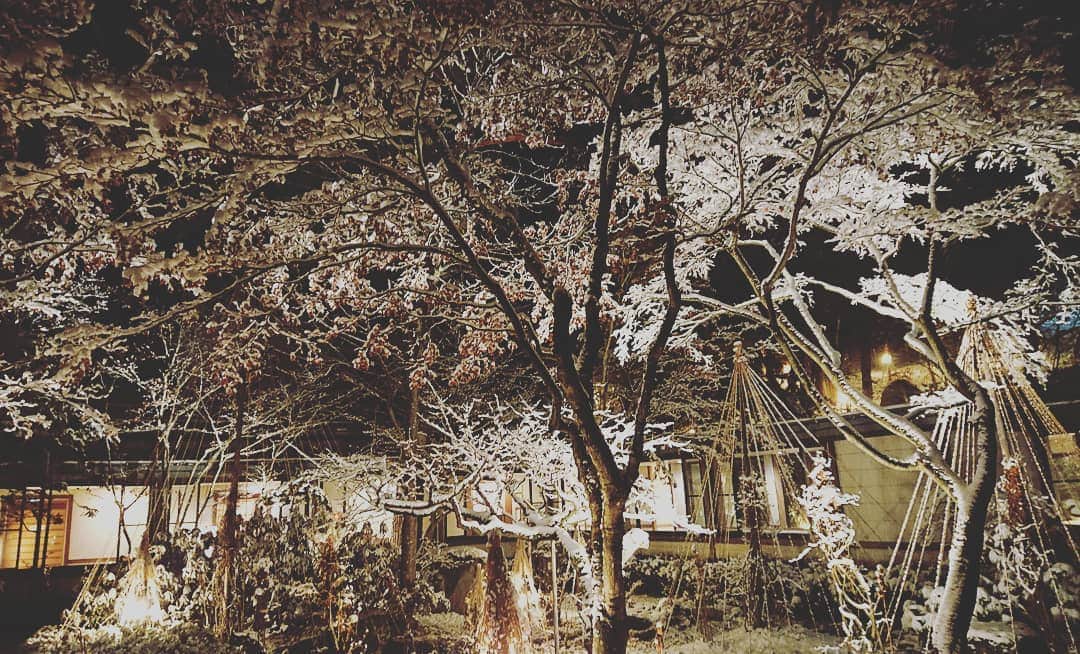 上林ホテル仙壽閣のインスタグラム：「いよいよ本格的な雪のシーズンになりました。 #コロナに負けるな  #感染対策しながら営業中  #長野電鉄  #温泉  #信州  #2020年の雪  #写真が好きな人と繋がりたい」