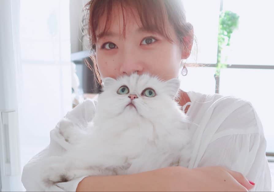 のインスタグラム：「. . 12月14日 くうちゃんが天国へ旅立ちました。  くうちゃんと過ごした10年は、 毎日可愛さに癒されて その存在感に助けられ、 なんとも言えない性格に笑わされて過ごした 幸せな時間でした！  そしてくうちゃんから教えてもらった人生の教えは膨大！！  今、どうやらくうちゃんは天国で楽しくやっているようです☺️  くうちゃんありがとう🌈 また会おうね💕  #ねこ#くうちゃん#思い出#ありがとう#大切な家族 #幸せな時間#人生の師匠」