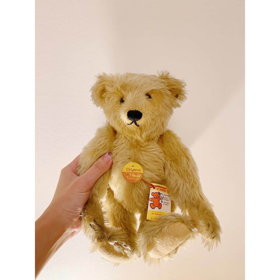 川島幸恵さんのインスタグラム写真 - (川島幸恵Instagram)「🧸🧸🧸﻿ ﻿ ようこそ🤲🏡✨﻿ ﻿ ﻿ #steiff﻿ #vintagesteiff﻿ #teddybear﻿ #bear﻿ #vintage﻿ #germany」12月21日 21時34分 - sachie118