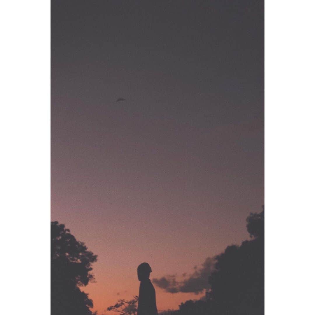 小向なるのインスタグラム：「evening... 見上げてる私🕊  📸 @saitou.misa」
