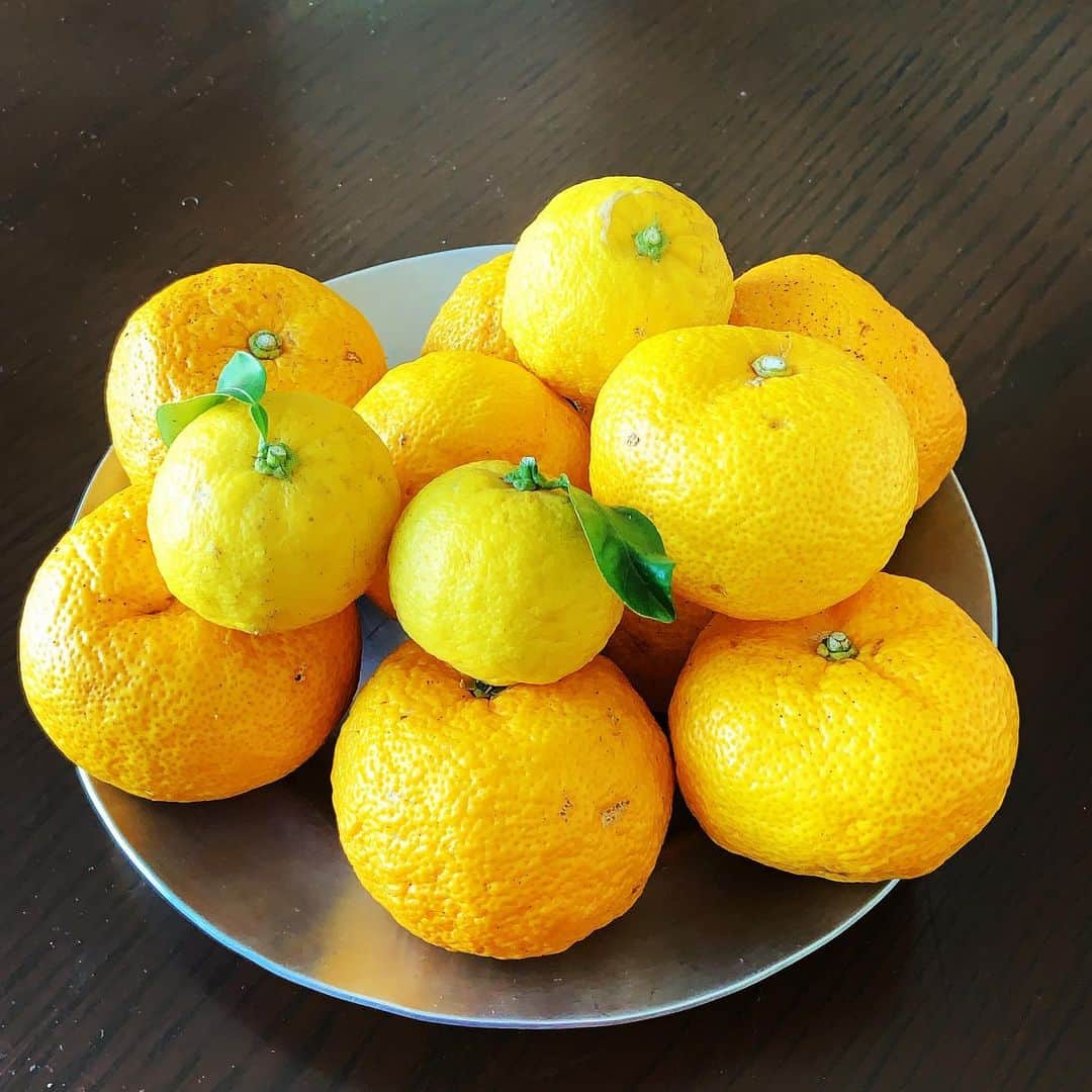 志摩有子さんのインスタグラム写真 - (志摩有子Instagram)「冬至の柚子湯。 自然に育った柚子は香りがむせかえるように濃い。香りを楽しみながらゆっくり浸かればポカポカ。  #冬至 #柚子湯 #ヴィンテージハウスM」12月21日 21時48分 - ariko418