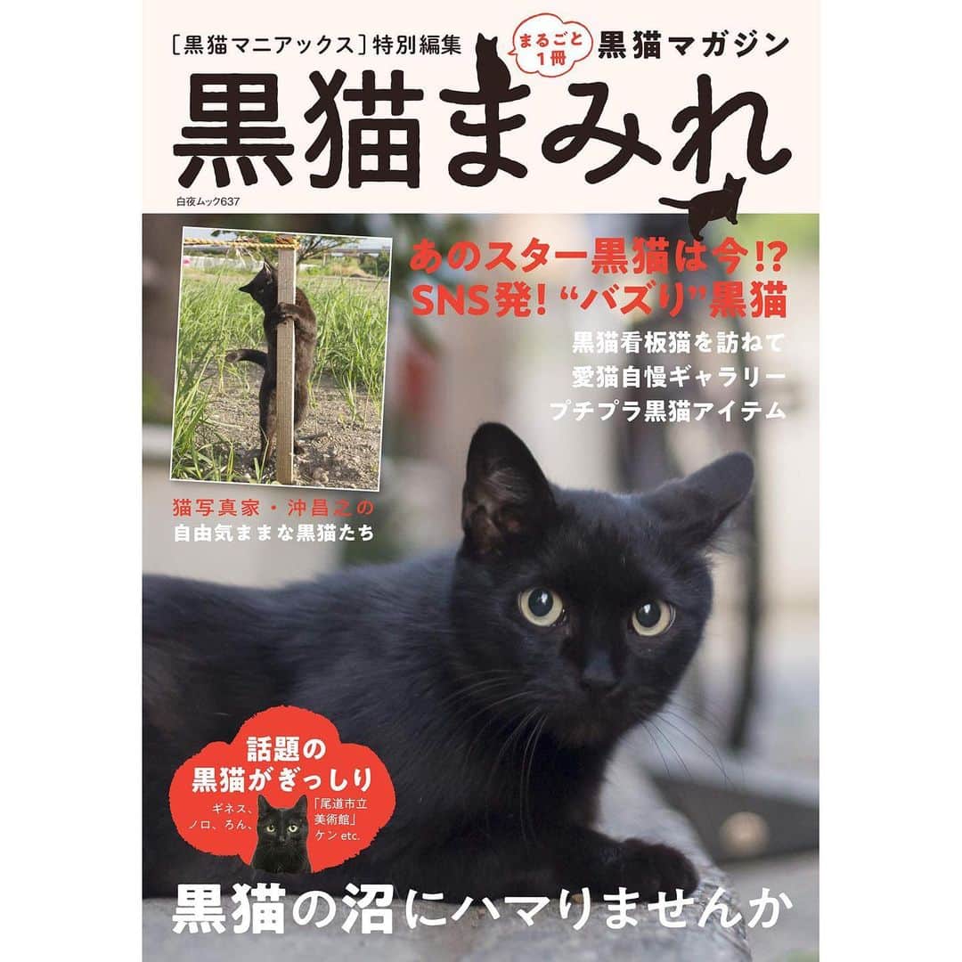 Masayukiさんのインスタグラム写真 - (MasayukiInstagram)「12月21日 白夜書房さんから発売の 『黒猫まみれ』の表紙 &「猫写真家 沖昌之の自由気ままな黒猫」の8ページを担当させていただきました。  黒猫さんの可愛さ溢れる本に携われてうれしいです！ この年末・年始のおともに ぜひ求めくださいませー。  info 黒猫まみれ ￥1,078 白夜書房  #黒猫まみれ」12月21日 22時23分 - okirakuoki