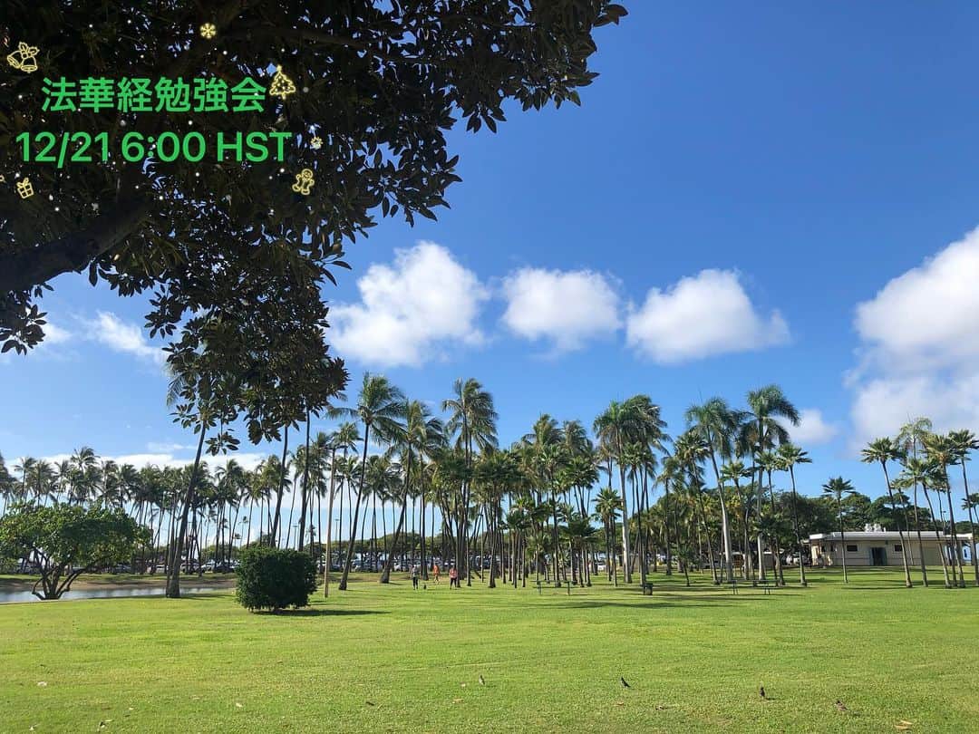 Honolulu Myohoji Missionさんのインスタグラム写真 - (Honolulu Myohoji MissionInstagram)「🎄  [ Reminder: 法華経勉強会は明日12/21 18時〜]  今年最後の法華経勉強会が、来週ハワイ時間12月21日(月曜日) 18時〜からZoomで行われます。  1時間、山村先生から法華経のイロハを学ぶことができますので、予備知識なしにご参加いただけます。 過去のアーカイブは、ホノルル妙法寺Facebookグループページに保存しています。  日本語での開催になります📚  質問並びに参加ご希望の方からのご連絡、お待ちしております。 ————————- Honolulu Myohoji YouTube channel is available now!  On our YouTube channel, you can see - Rev. Yamamura’s talk, - Past events of Honolulu Myohoji, and - Some nice Hawaii weather from Honolulu Myohoji. ————————- * * * * #ハワイ #ハワイ好きな人と繋がりたい  #ハワイだいすき #ハワイ好き #ハワイに恋して #ハワイ大好き #ハワイ生活 #ハワイ行きたい #ハワイ暮らし #オアフ島 #ホノルル妙法寺 #思い出　#honolulumyohoji #honolulumyohojimission #御朱印女子 #開運 #穴場 #パワースポット #hawaii #hawaiilife #hawaiian #luckywelivehawaii #hawaiiliving #hawaiistyle #hawaiivacation」12月21日 13時59分 - honolulumyohoji