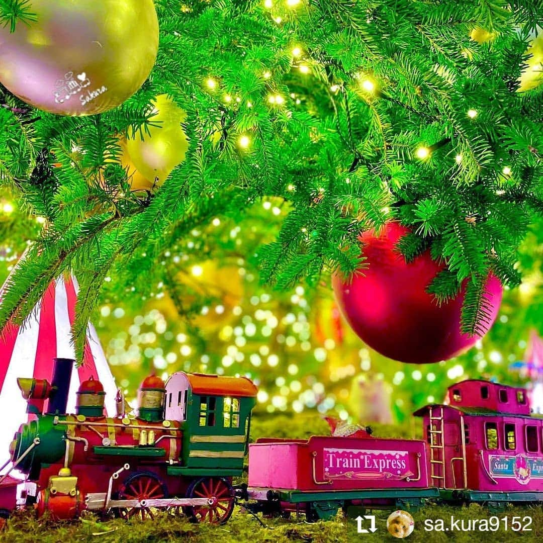 カメラのキタムラさんのインスタグラム写真 - (カメラのキタムラInstagram)「#Repost sa.kura9152 • • • • • • ＊ YOKOHAMA BAY QUARTER *･゜ﾟ･ Christmas tree *･゜ﾟ･*🎄:.｡..｡.:* Dwarfs Santa Clause World *:.｡..｡.:*🎅*:.｡. .｡.:* ＊ Everyone ･゜ﾟ･**☃️**  I wish you a beautiful smile Christmas week  and Happy Sunday ♡。。(=´∀｀)人(´∀｀=)。。♡💗 ＊ ②Swipeです🖕🖕 ＊ 毎年〜沢山の クリスマスツリー巡りをしますけど…🎄🎀 ライムグリーンの輝きと 小人達の世界がイメージの 横浜ベイクォーターのツリーが 1番好きです。。💛💚 *･゜ﾟ･*:.｡..｡.:*(*⁰▿⁰*)*:.｡. .｡.:*･゜ﾟ･* ＊  #横浜ベイクォーター #kanagawaphotoclub #myyokohama #yokohama_love #team_jp_ #team_jp #team_jp_東 #ptk_nature #ptk_love #illumination #illuminations #xmastime #ig_brilliant #ig_photo #ig_photography #bestjapanpics #bestphoto_japan #ig_myshots #pict_lovers #daily_photo_jpn #love_bestjapan #japan_night_view」12月21日 14時37分 - camera_kitamura