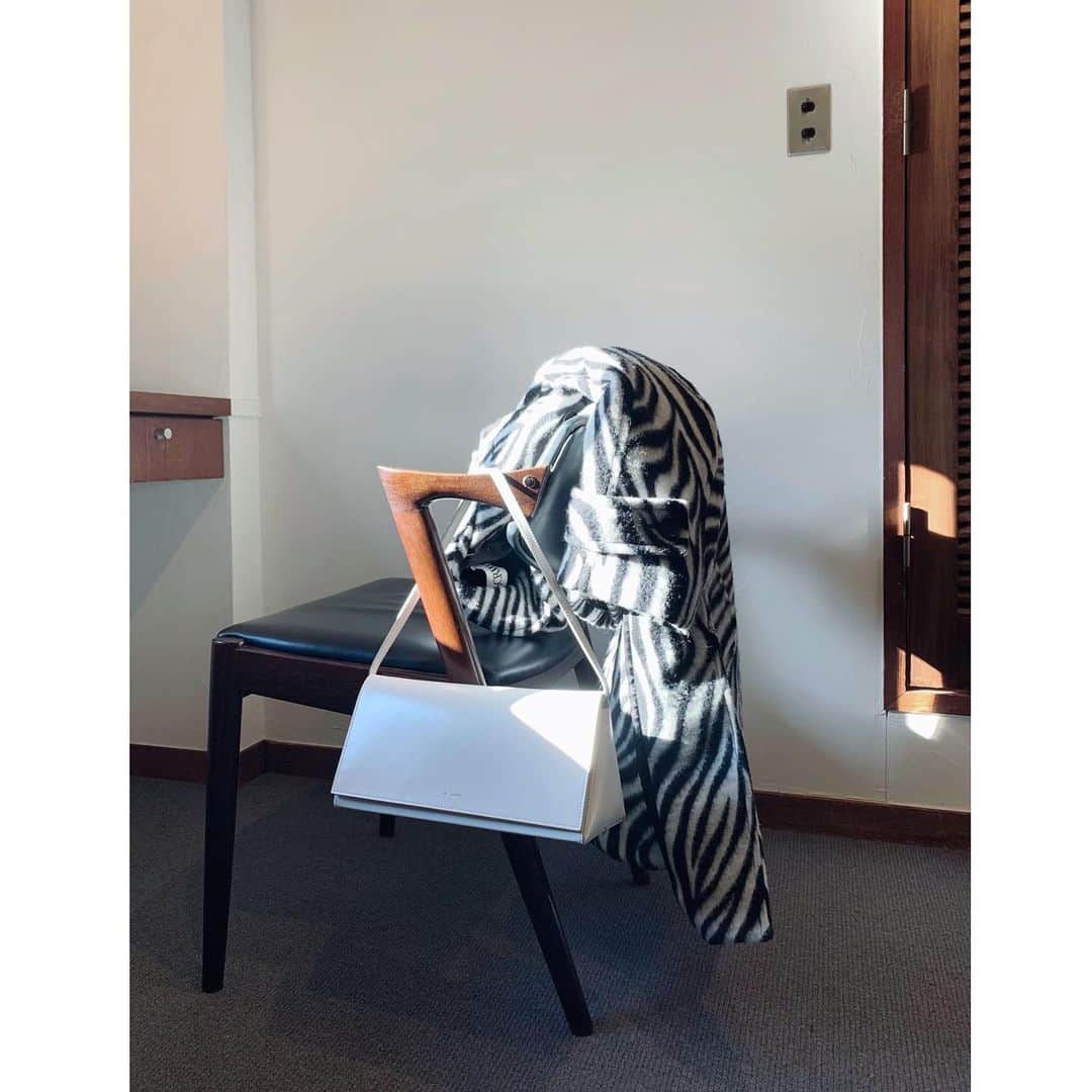 のインスタグラム：「12/21🦓」