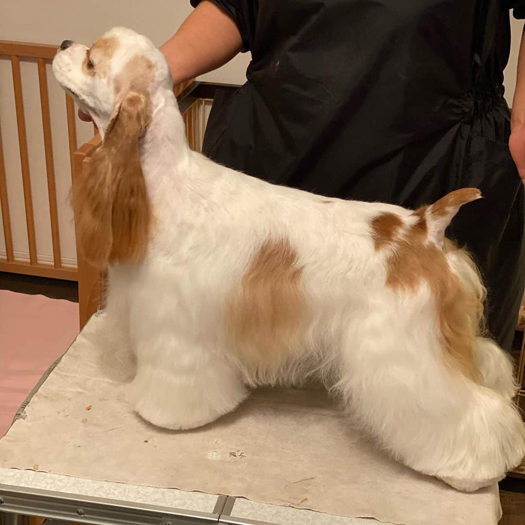ライオネス飛鳥のインスタグラム
