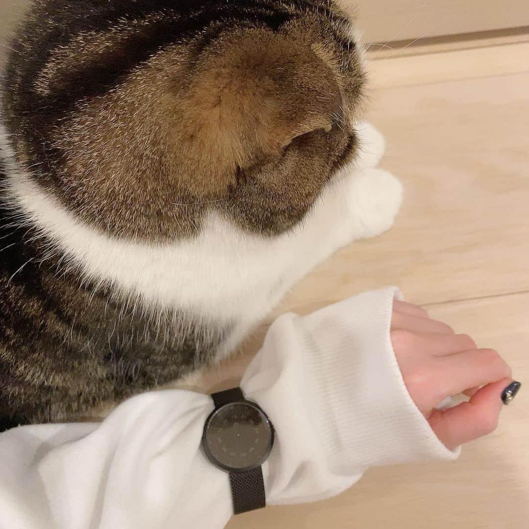 桜咲千依のインスタグラム：「MAVEN WATCHES の腕時計✨ 最近よく着てるシナモンのダボダボトレーナーと☺ うにたんと❤  10パーセントお安くなるクーポンもぜひ活用ください❤ クーポンコード 【ousakjz】  #マベン #マベンウォッチズ #腕時計  #時計 #mavenwatches」