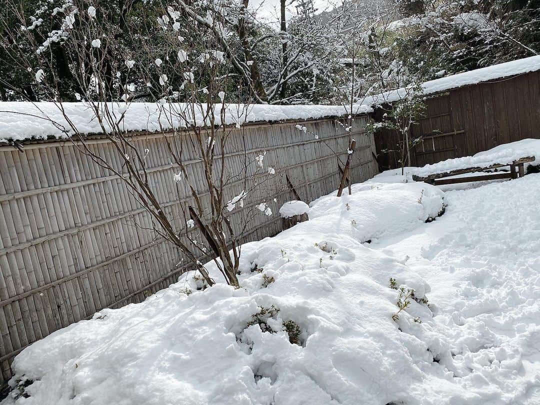 湯の山温泉 寿亭|Ryokan KOTOBUKITEIのインスタグラム：「昨日の朝の#寿亭 の#日本庭園 ❄ 気温は寒いですが、#雪景色 は別世界のような景色になり、つい写真を撮りたくなります🤤！ #スノーマジック で#写真映え もしますよ⛄✨ 2枚目のお写真、よく見ると雪だるまさん…♡♡ お客様手作りです可愛い、、🥰 ありがとうございます！ ･  #三重#温泉#温泉好き#温泉旅行#旅行#温泉旅館#三重旅#三重旅行#女子旅#インスタ映え#旅館寿亭#湯の山温泉 #寿亭 #御在所岳 #ロープウェイ  #mie#japan#yunoyamaonsen#onsen#ryokan#ryokanlife#visitmie」