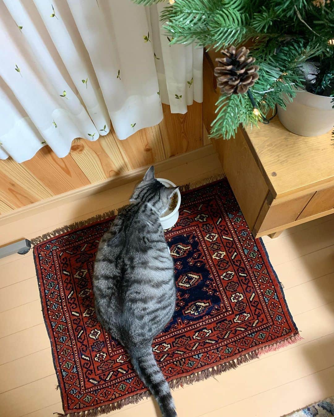?りっこ?のインスタグラム