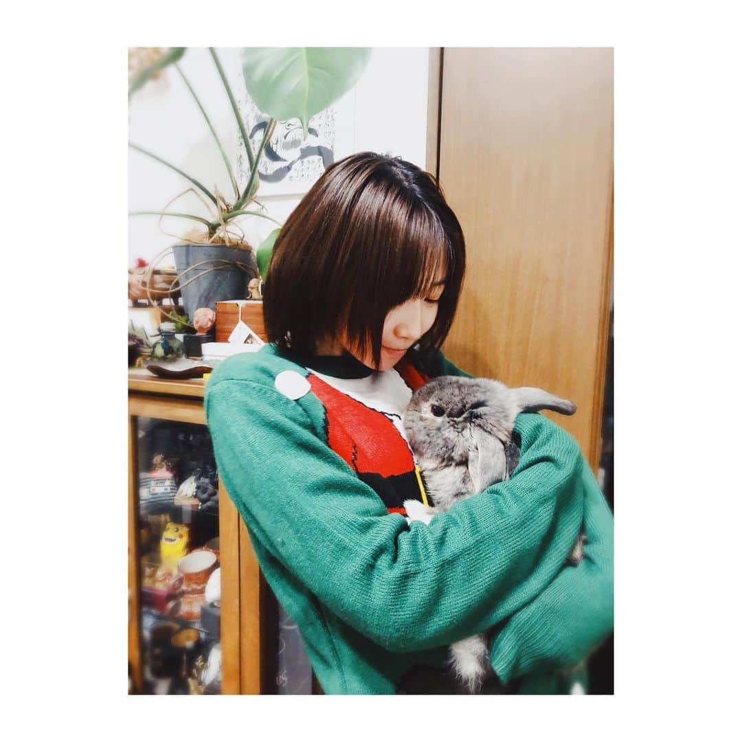 岡本夏美さんのインスタグラム写真 - (岡本夏美Instagram)「メリクリ🎄🐰」12月21日 15時35分 - okamoto_natsumi
