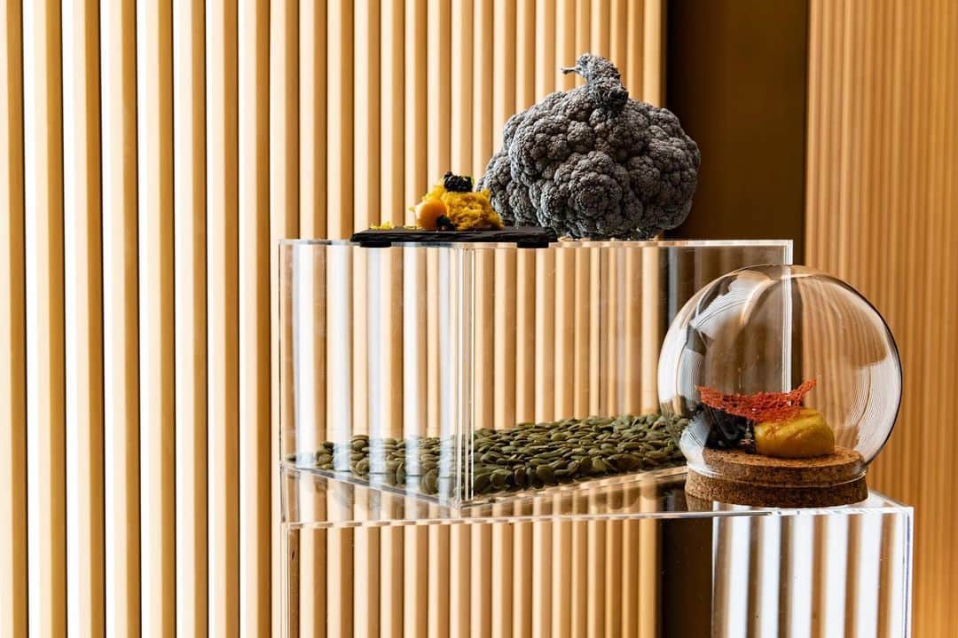 ShinTakedaさんのインスタグラム写真 - (ShinTakedaInstagram)「カリフラワーのオブジェと ガラスドーム    ガラスドームの中に大粒ホタテ、白トリュフと里芋、珊瑚を。  #ケータリング  #アートを食べる #pintcatering」12月21日 15時54分 - pint_catering