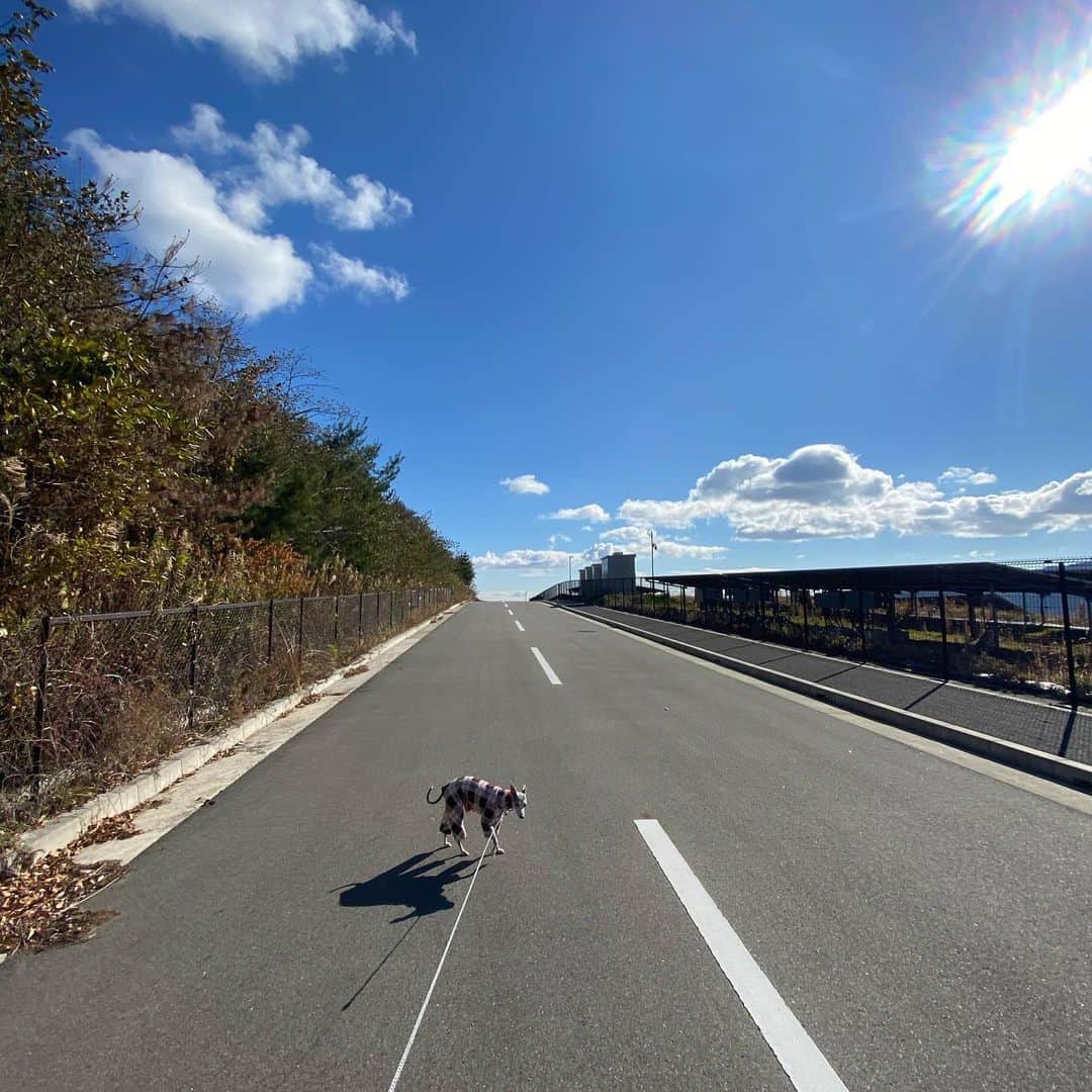 笑福亭恭瓶のインスタグラム：「コロナで予定が無くなったので久しぶりに散歩。 #笑福亭恭瓶　#散歩」