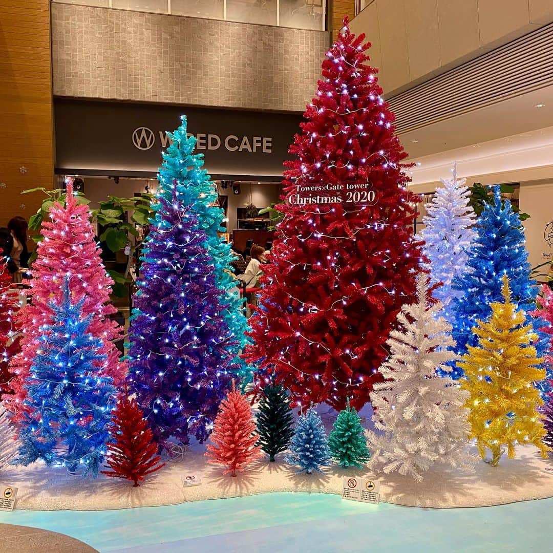 堀江淳のインスタグラム：「なんかいい感じ🎄(名古屋ゲートタワープラザ) #名古屋　#名古屋ゲートタワープラザ　#クリスマス  #クリスマスツリー　 #メモリーグラス  #堀江淳  #ザベストテン  #昭和歌謡  #1981年  #水割りをください  #弾き語り  #ライブ」