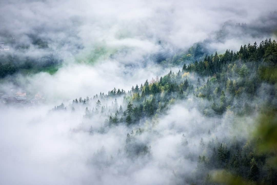 National Geographic Travelさんのインスタグラム写真 - (National Geographic TravelInstagram)「Photo by @michaelclarkphoto / The valley below the Aiguillette des Houches near Les Houches, France, is filled with low clouds, making for a dramatic landscape from above. #france #chamonix #leshouches」12月21日 16時39分 - natgeotravel