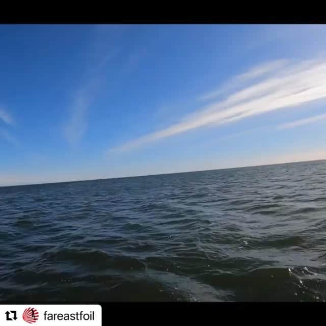 つの丸のインスタグラム