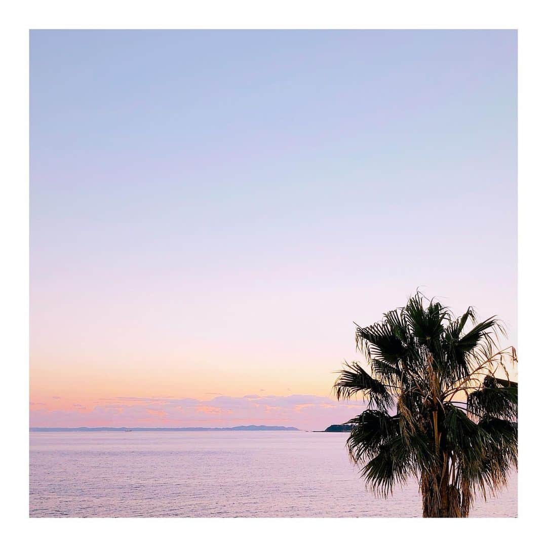 RisaWisteriaのインスタグラム：「久々海のある景色🌴  #oceanview #palmtree #sunset」