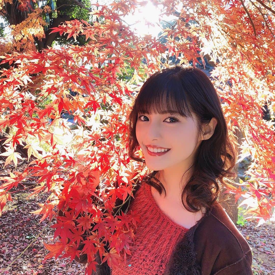 美沙玲奈のインスタグラム：「🍁🍁🍁」