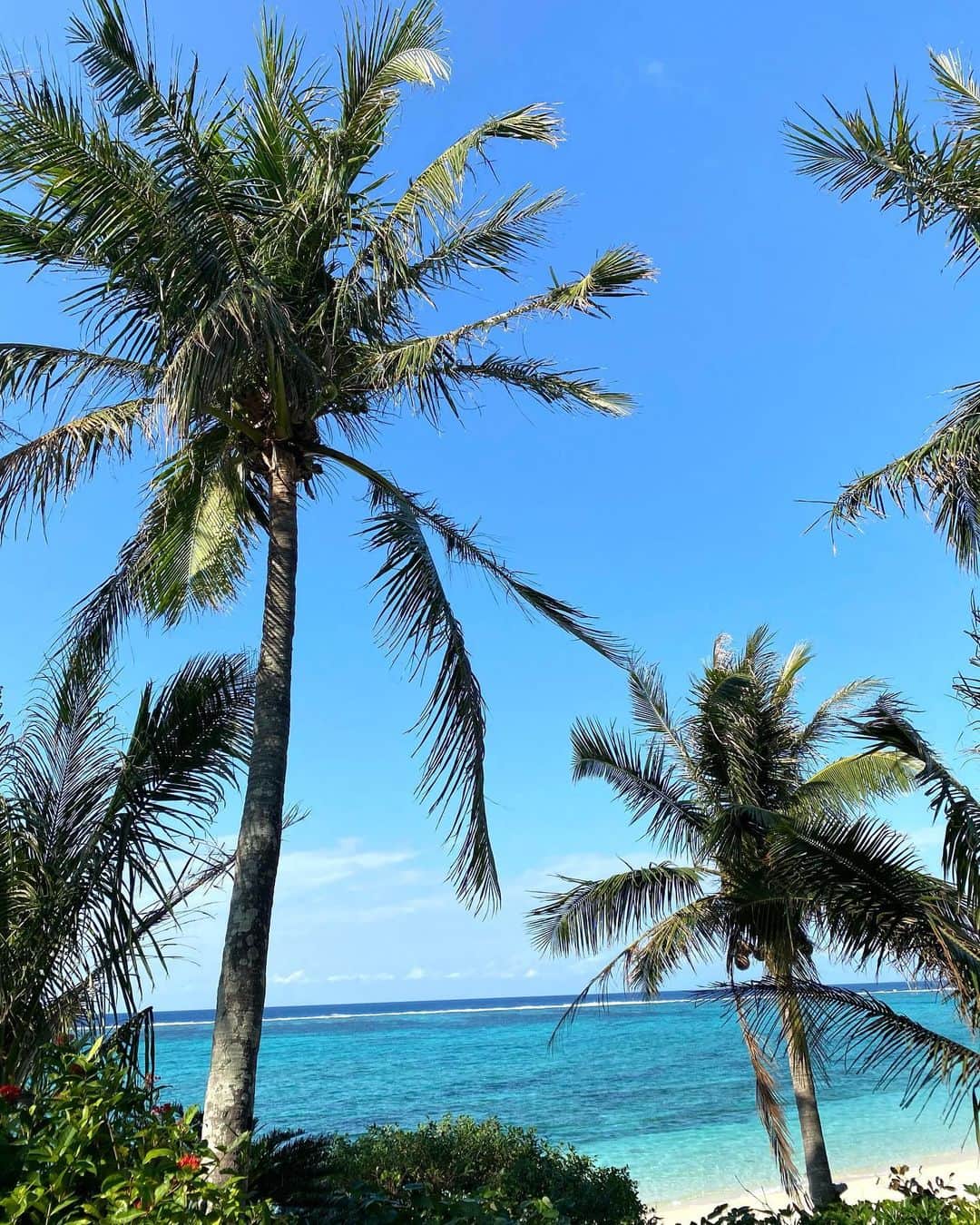 宮崎沙矢加のインスタグラム：「Life can be changed by the people you meet Who you meet is what you decide🌴🌴🌴 . . . #okinawana #palmtrees #yoga #beachyoga #yogainstructor #yogainspiration #meditation #love #yolo #beachlife #beachlover #沖縄　#ムーンビーチ　#ヨガ」