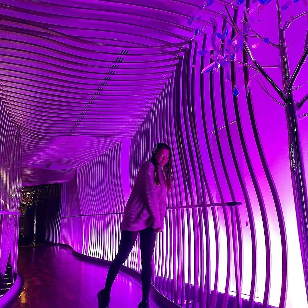 市原佑梨さんのインスタグラム写真 - (市原佑梨Instagram)「purple space 🌈✨  #purple#tokyo#japan#tokyobar#peninsulatokyo#peninsula#peter#peninsulapeter#東京ペニンシュラ#東京ホテル#東京ホテルバー#ペニンシュラ東京#ペニンシュラピーター #ホテルバー#おしゃれホテルバー#おしゃれバー#東京おしゃれバー」12月21日 23時04分 - yuri_ichihara