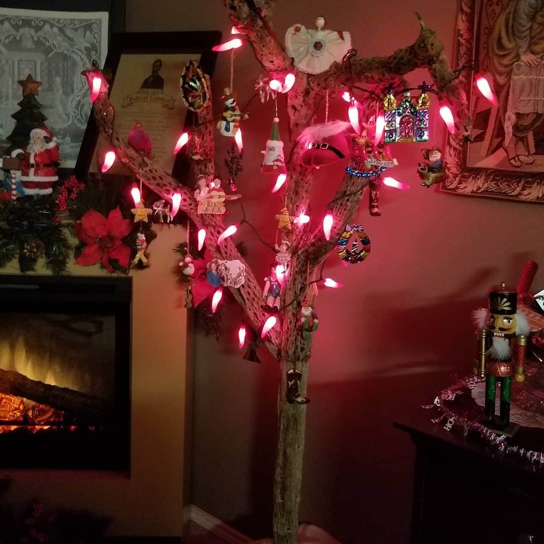 ジョン・レグイザモさんのインスタグラム写真 - (ジョン・レグイザモInstagram)「This is how some people do Christmas trees in the #Southwest ... ¡que hermoso!」12月21日 23時04分 - johnleguizamo