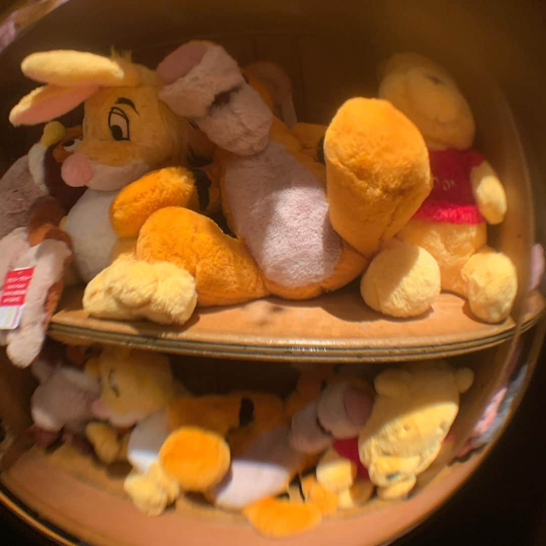 Laraのインスタグラム：「🍯🧸 . ハニーハントは毎回のりたいᕱ⑅ᕱ♥🐝∗*ﾟ 待ってる道のりも、 乗ってる時の世界観もたのしすぎ🌎🌈🌍 ディズニー何のキャラが1番スキかなぁ❣️💭 #poohbear #ぷーさん」