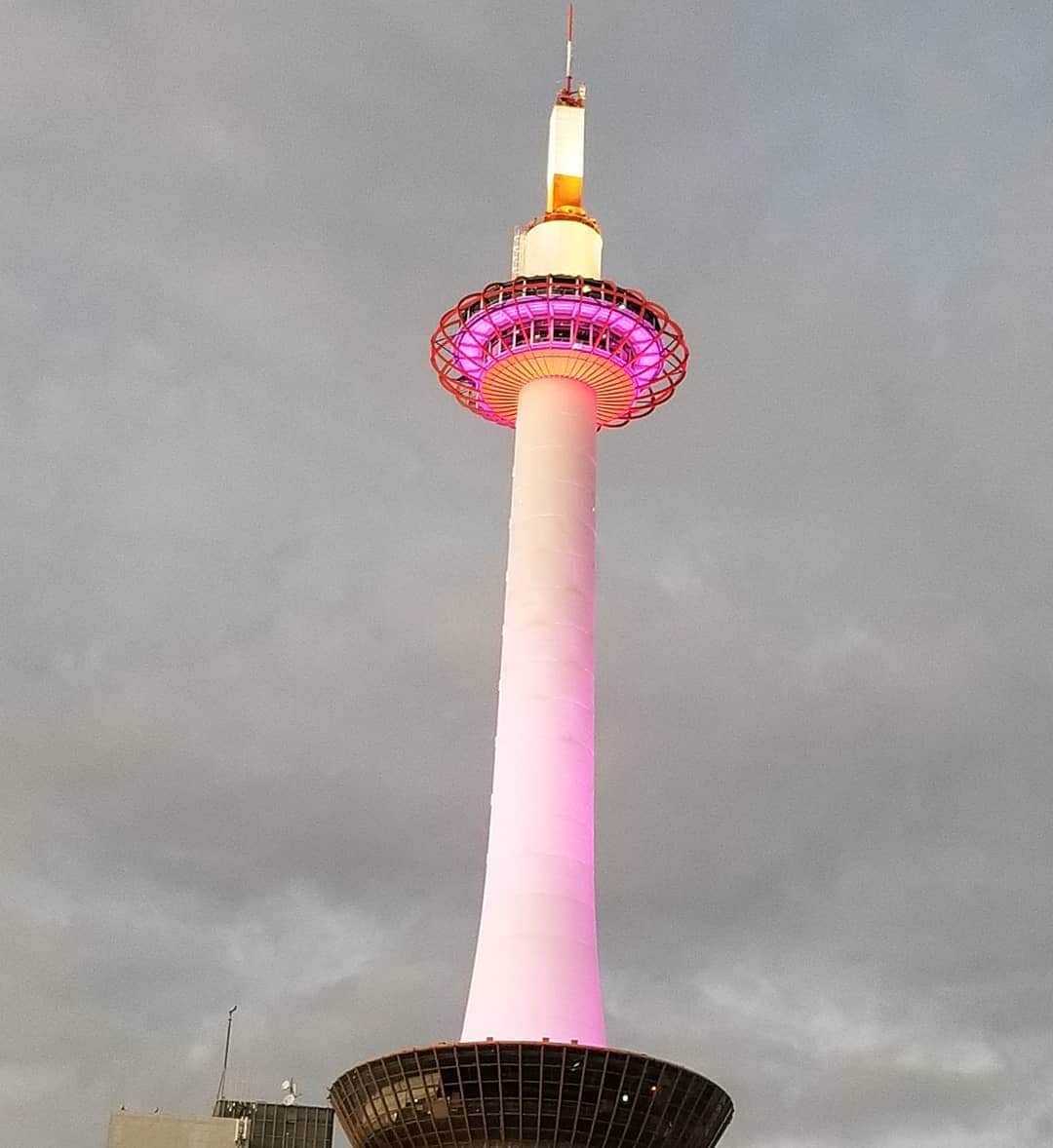 谷口キヨコのグルメインスタ