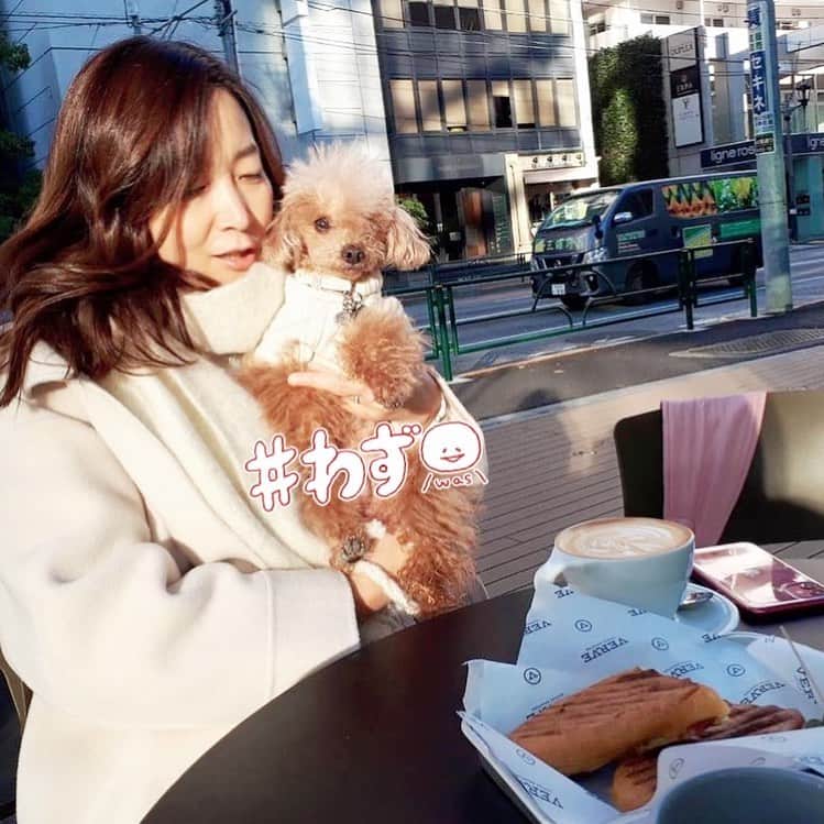 日々野真理のグルメインスタ